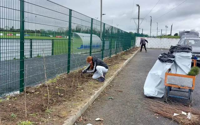 Tree planting alongside the public car park