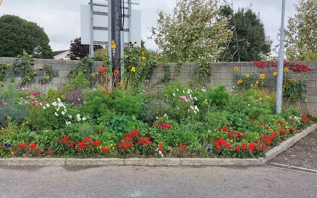The native and pollinator planting bed at the gate entrance