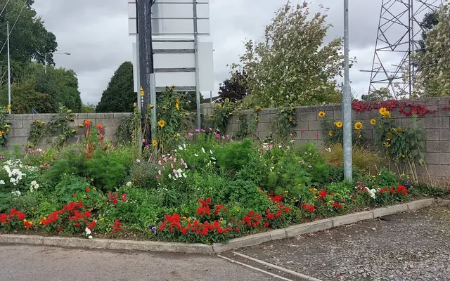The gate entrance planting bed in full bloom