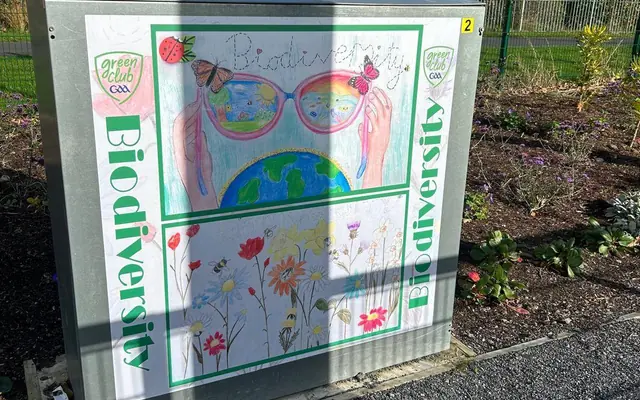 Biodiversity art from primary school pupils on a utility box