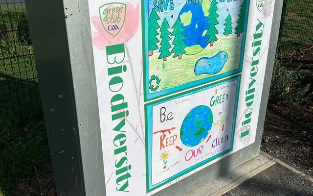 Biodiversity art from primary school pupils on a utility box