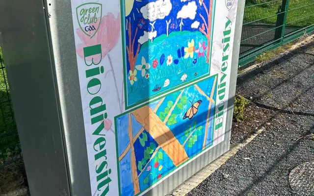 Biodiversity art from primary school pupils on a utility box