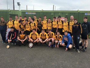 St Peters Dunboyne  2015 Minor Hurling Shield Winners