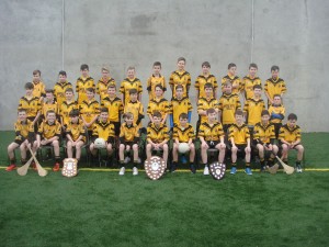 U13 hurling and football panels and trophys